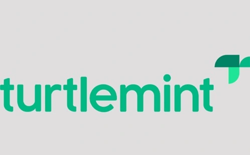  Turtlemint