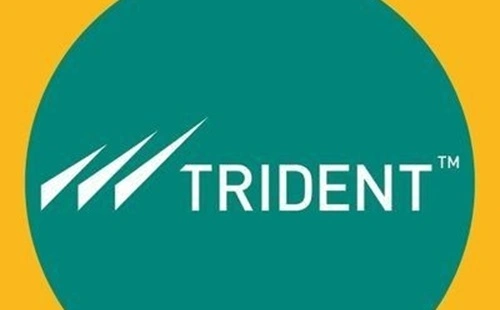 Trident Limited