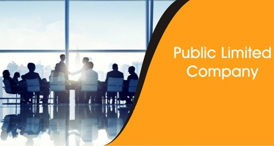 Public Limited Company